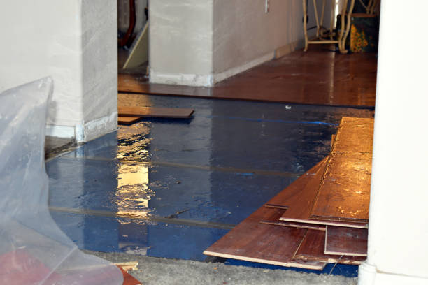 Professional Storm Water Damage Restoration technician working in New Ulm, TX